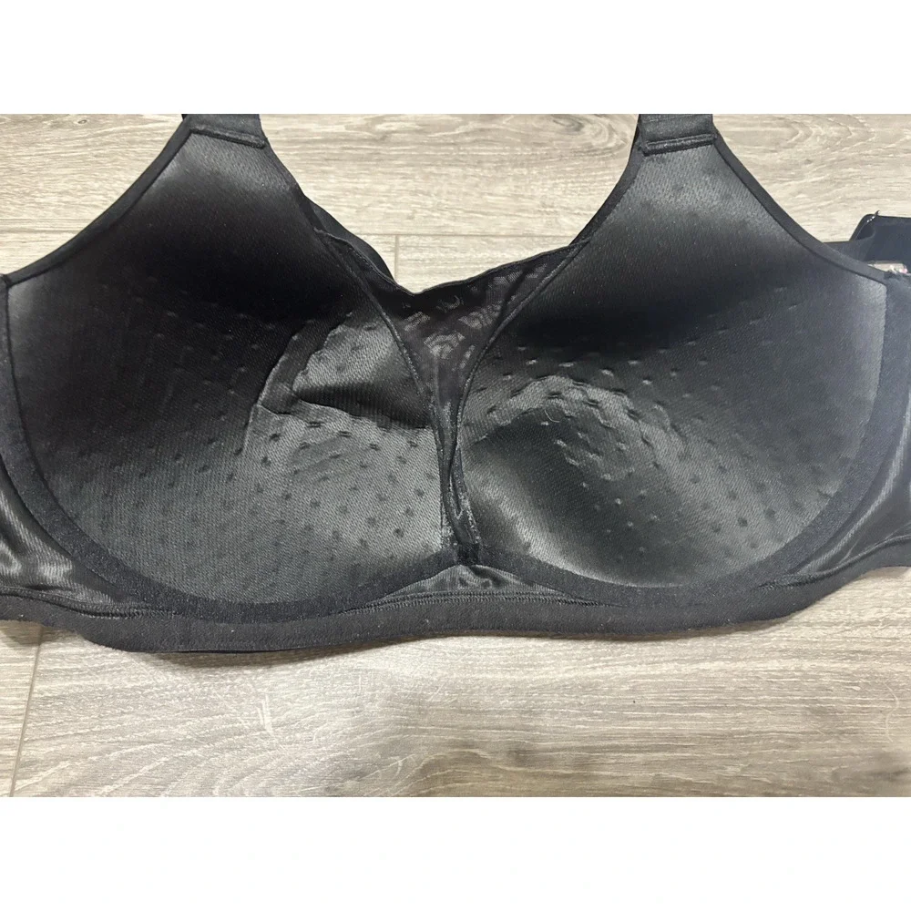 Lane Bryant livi lane